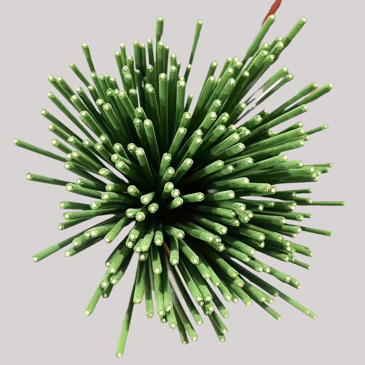 Reed Diffuser Sticks Lemongras - Home Fragrance Logo ulasan dan harga