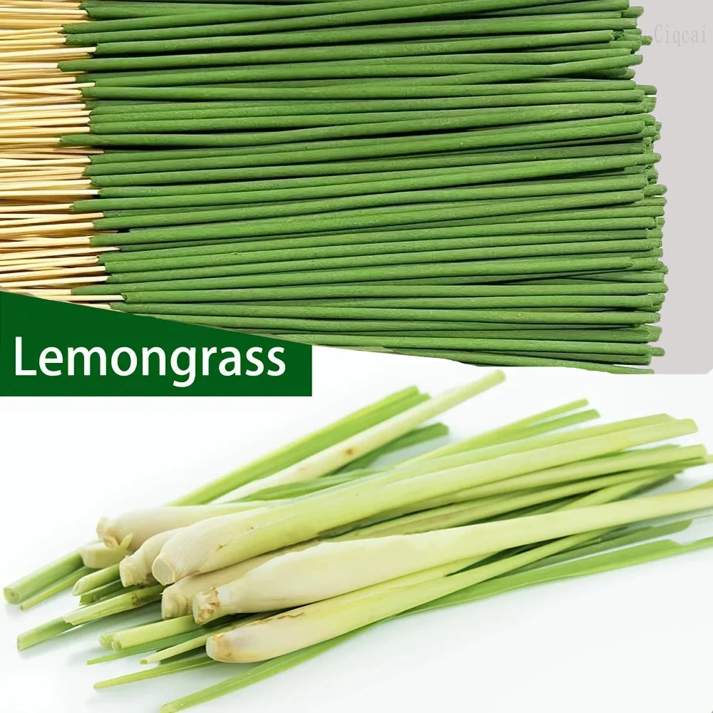 Reed Diffuser Sticks Lemongras - Home Fragrance Logo ulasan dan harga